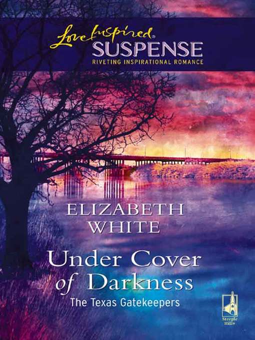 Title details for Under Cover Of Darkness by Elizabeth White - Available